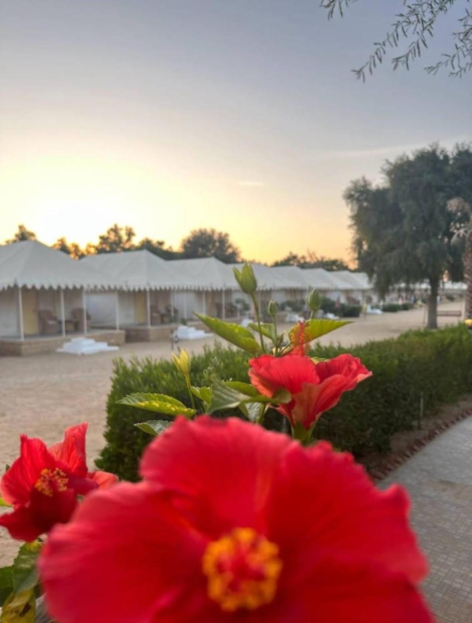 Sam Dunes Desert Luxury Camp & Resort Jaisalmer Exterior photo